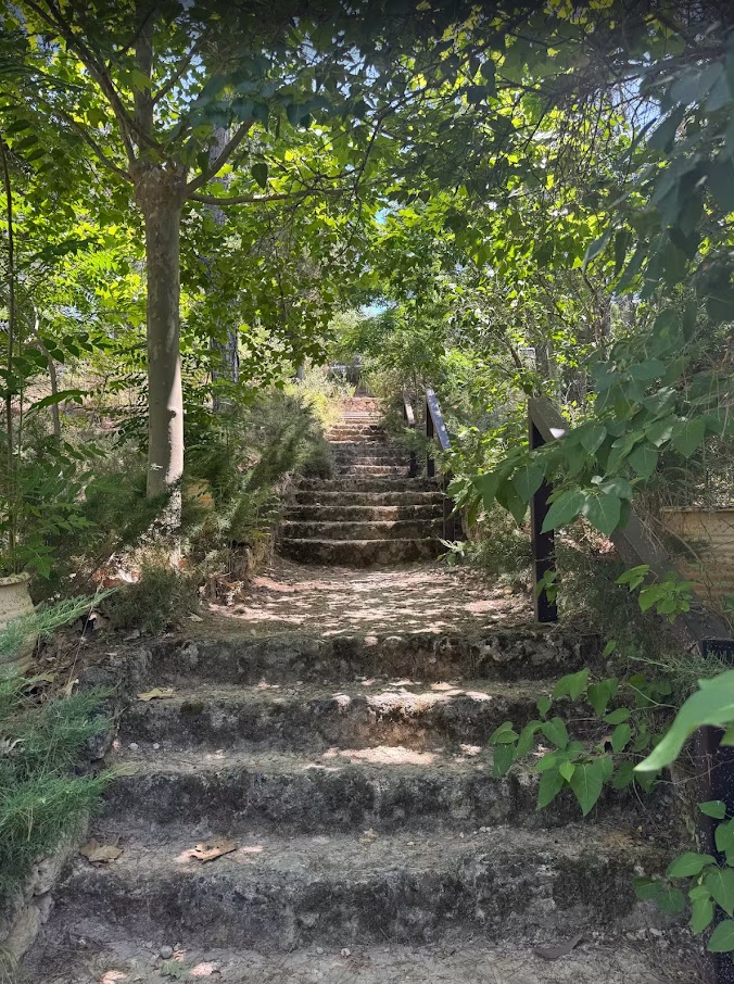Bosque El Salto del Ciervo