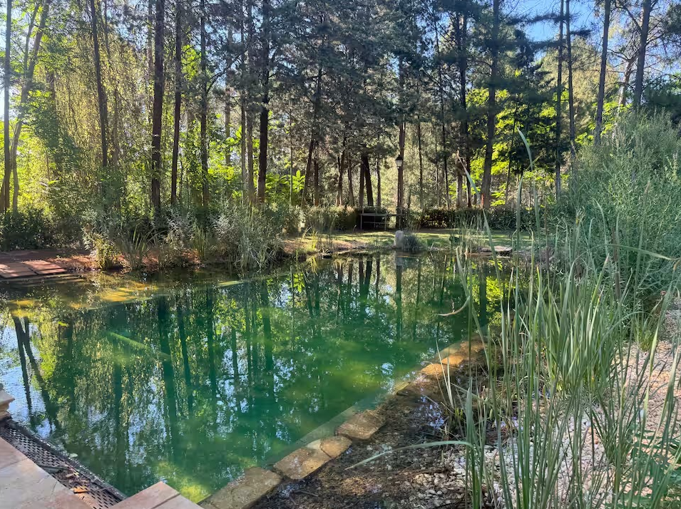 Piscina Natural El Salto del Ciervo